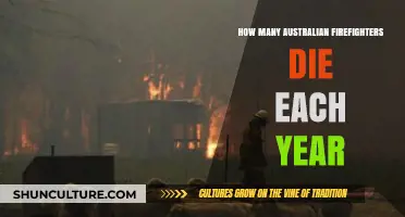 Annual Australian Firefighter Fatalities: Understanding the Risks and Sacrifices