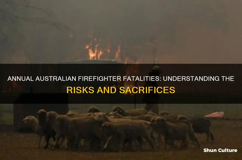 how many australian firefighters die each year