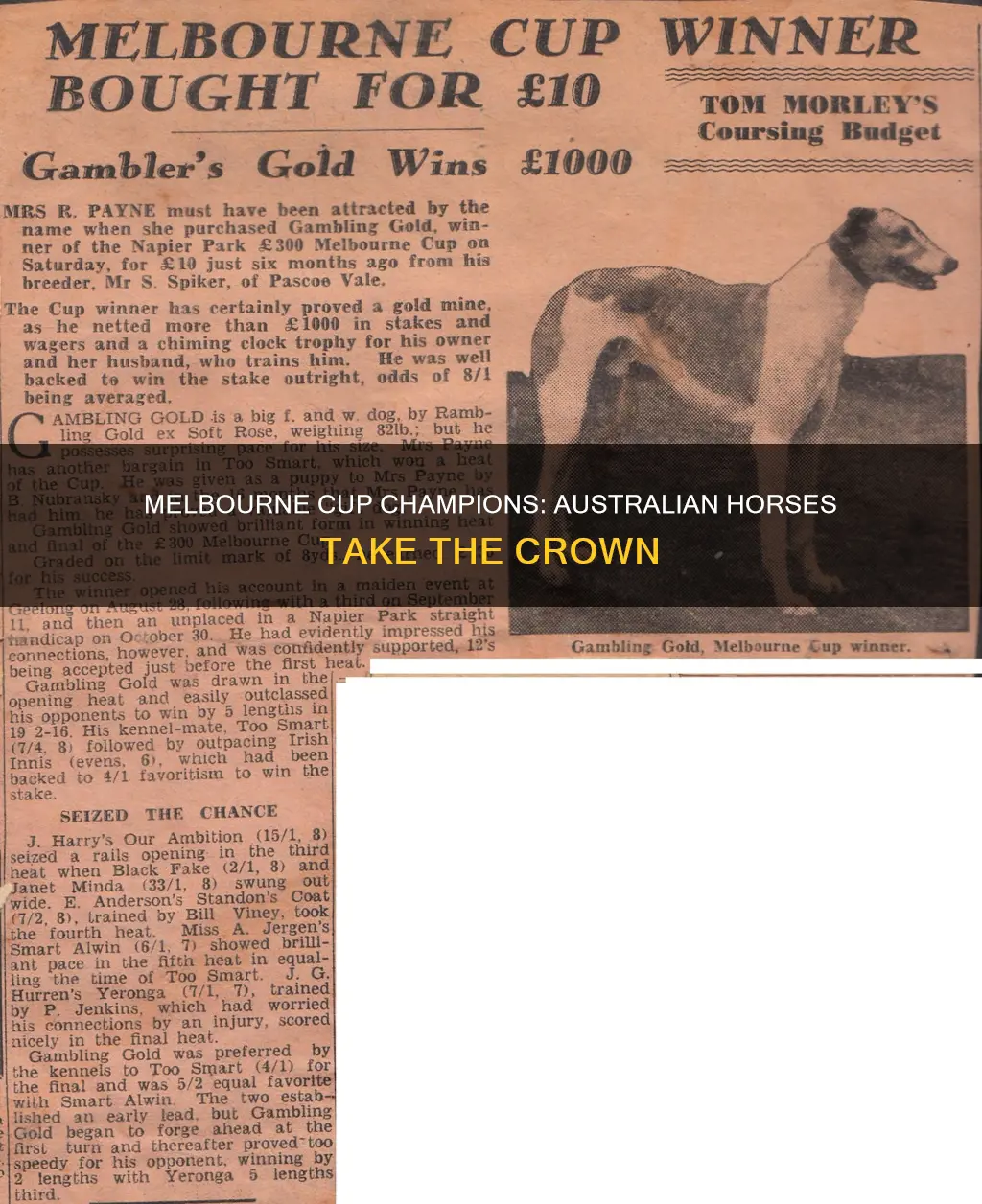 how many australian horses have won the melbourne cup