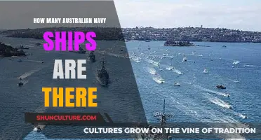 Australian Navy Fleet: How Large Is It?
