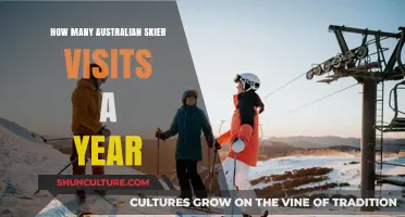 Annual Australian Skier Visits: Trends and Statistics Revealed