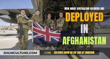 Australian Troop Presence in Afghanistan: A Comprehensive Overview