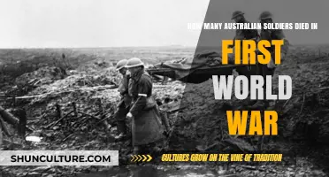 Australian Soldiers' Sacrifice: First World War Fatalities Revealed