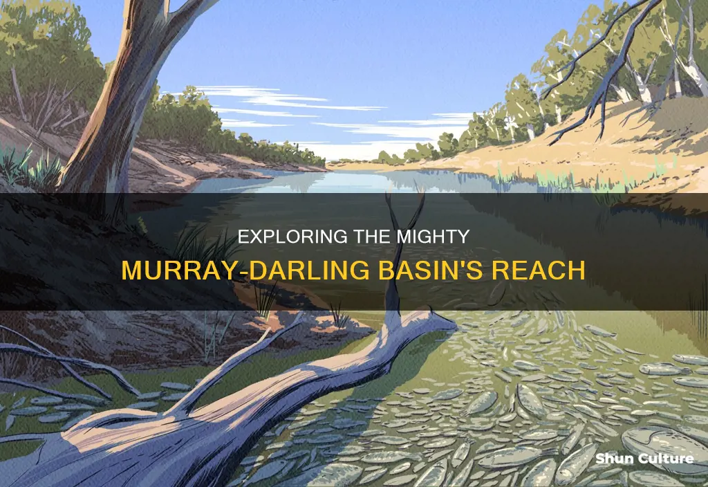 how many australian states does the murray-darling basin stretch over