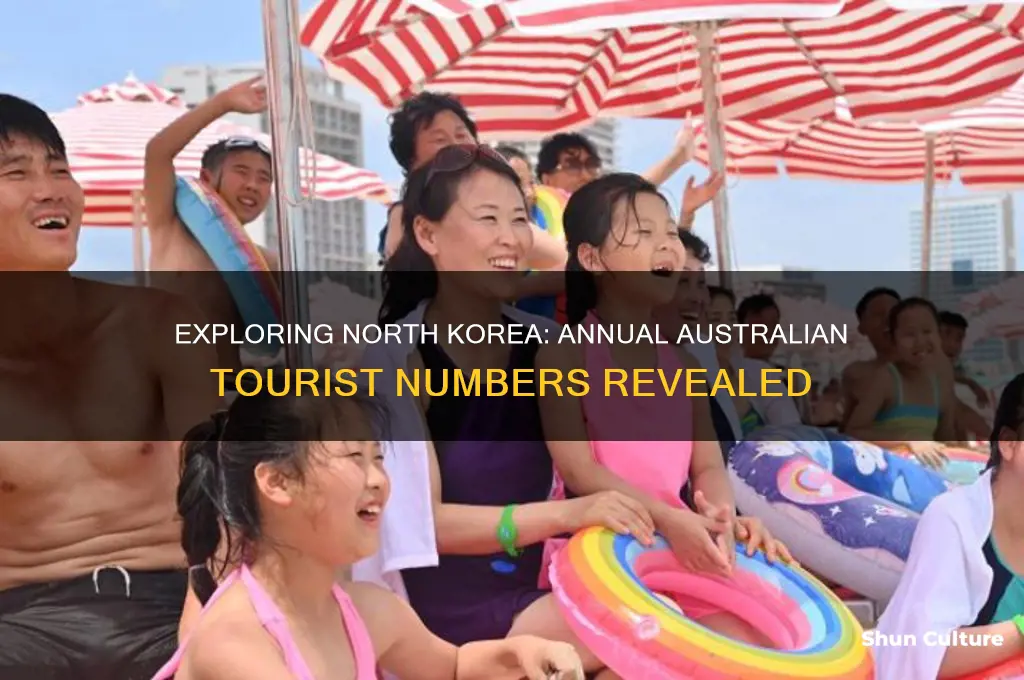 how many australian tourists visit north korea each year