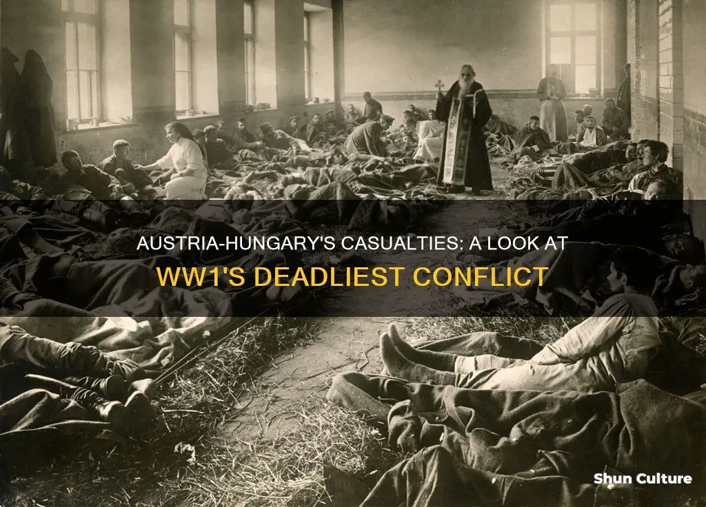 how many austria hungary soldiers were wounded in ww1