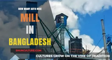 Exploring Bangladesh's Auto Rice Mills: Counting the Nation's Milling Facilities
