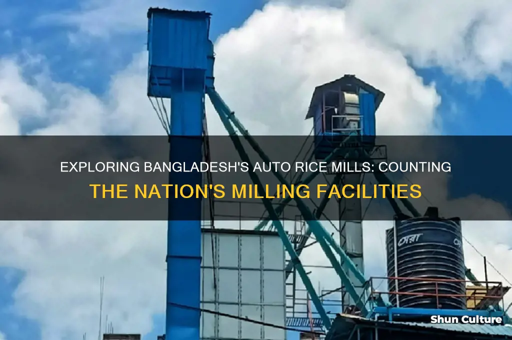 how many auto rice mill in bangladesh