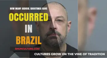 Brazil's School Shooting Crisis: Frequency and Impact Revealed