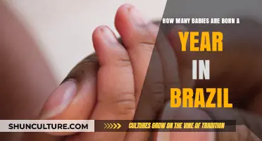 Brazil's Annual Birth Rate: How Many Babies Are Born Each Year?