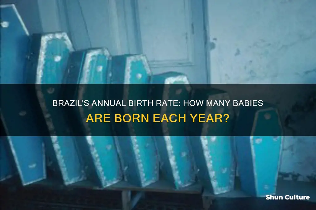 how many babies are born a year in brazil