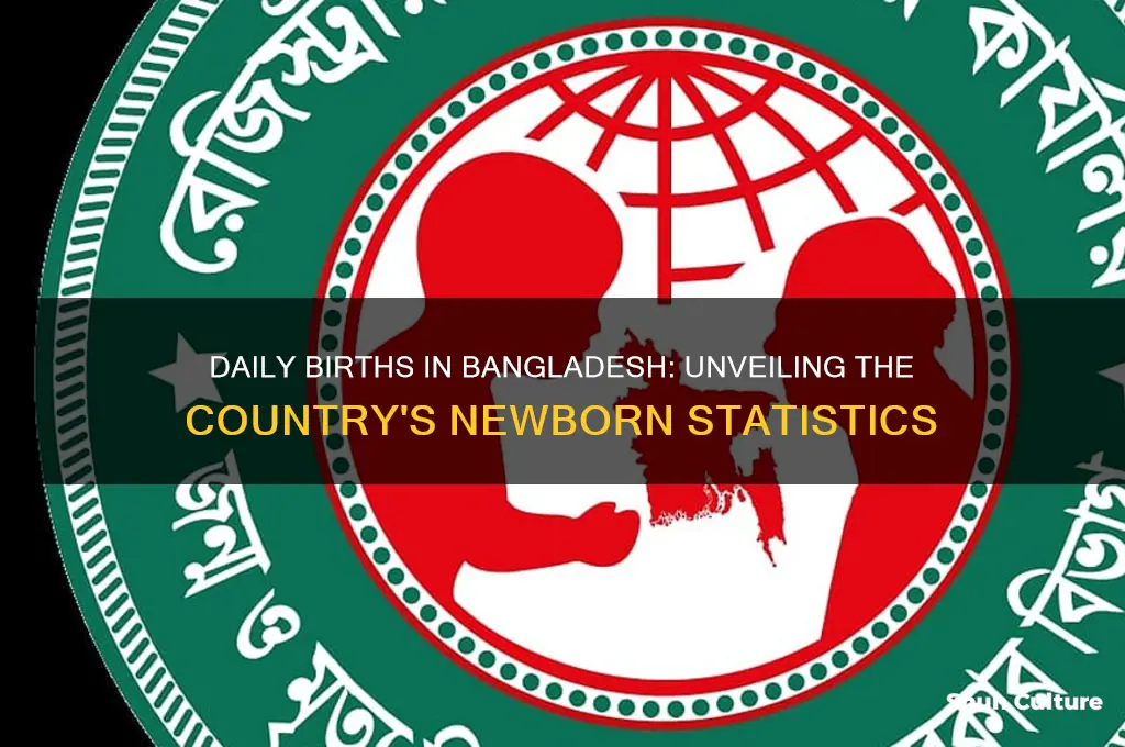 how many babies are born each day in bangladesh