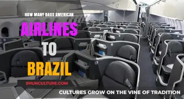 American Airlines Baggage Allowance for Flights to Brazil Explained