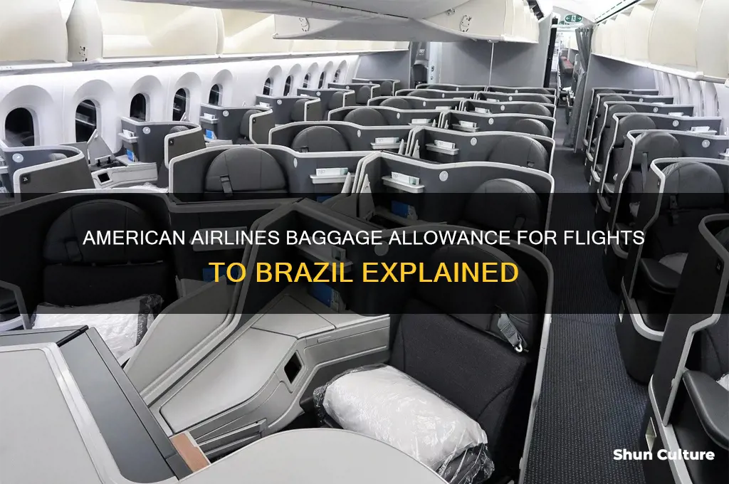 how many bags american airlines to brazil
