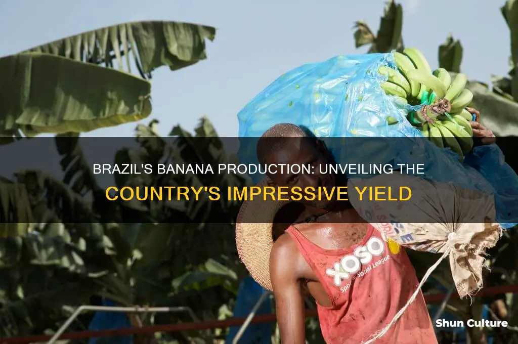 how many bananas brazil make