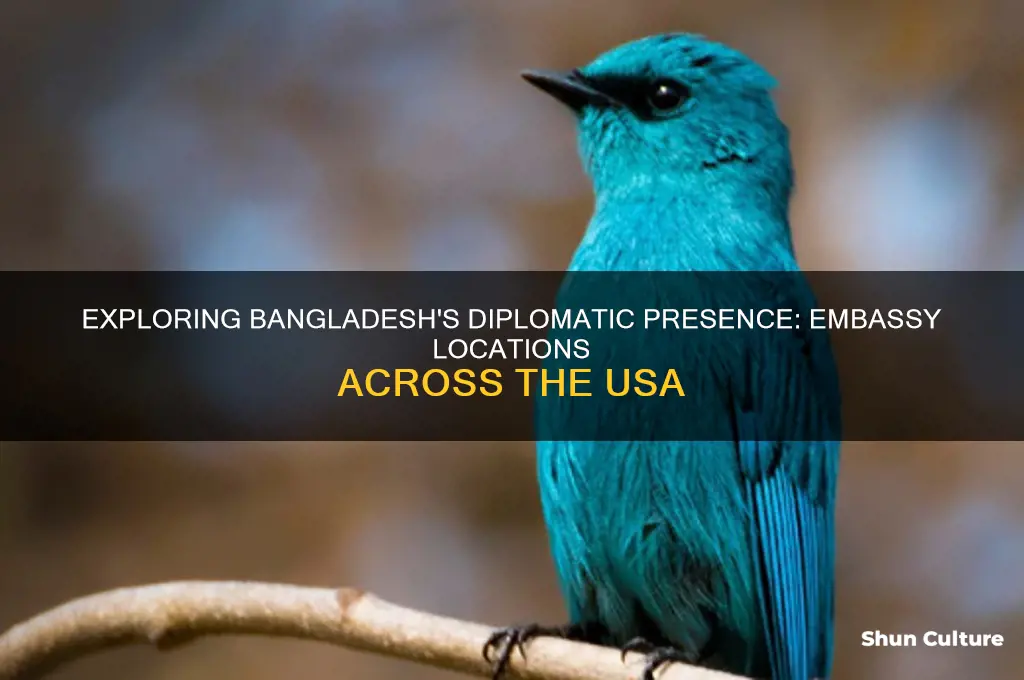 how many bangladesh embassy in usa