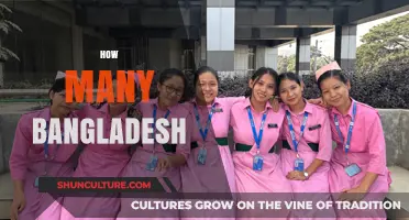 Exploring the Unique Identity and Diversity of Bangladesh's Regions
