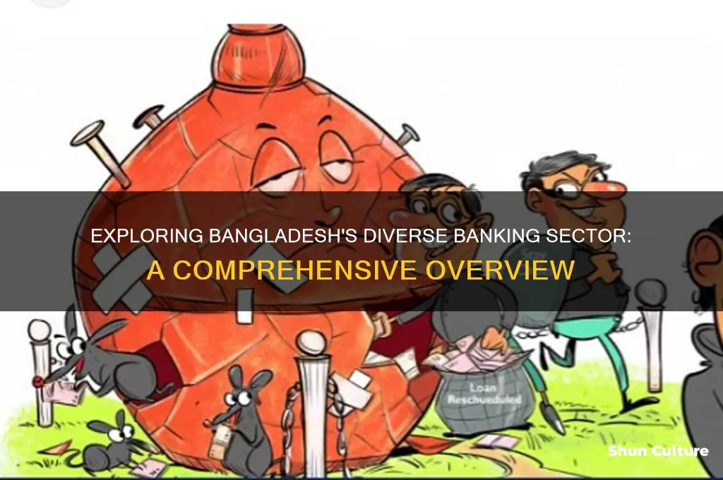 how many banking sector in bangladesh