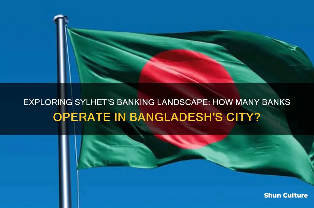 how many banks in sylhrt bangladesh