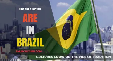 Baptist Population in Brazil: Exploring the Faith's Growth and Presence