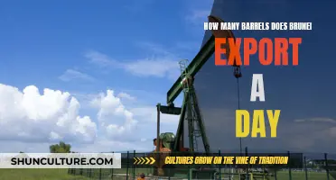 Brunei's Oil Export Capacity: Barrels per Day