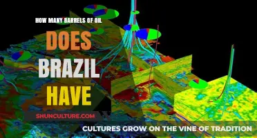 Brazil's Oil Reserves: Unveiling the Barrel Count and Energy Potential