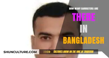 Exploring the Number of Barristers Practicing in Bangladesh Today