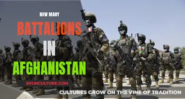 Battalion Presence in Afghanistan: Examining the Numbers