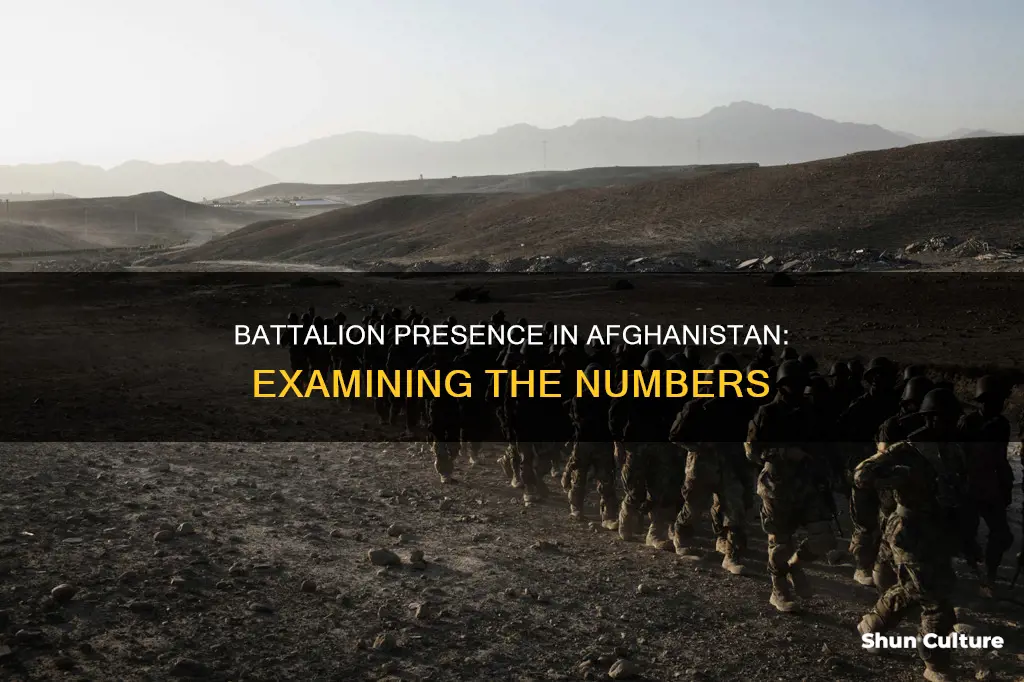 how many battalions in afghanistan