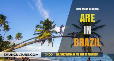 Exploring Brazil's Stunning Coastline: How Many Beaches Does It Have?