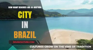 Discovering Ubatuba's Stunning Coastline: How Many Beaches Await?