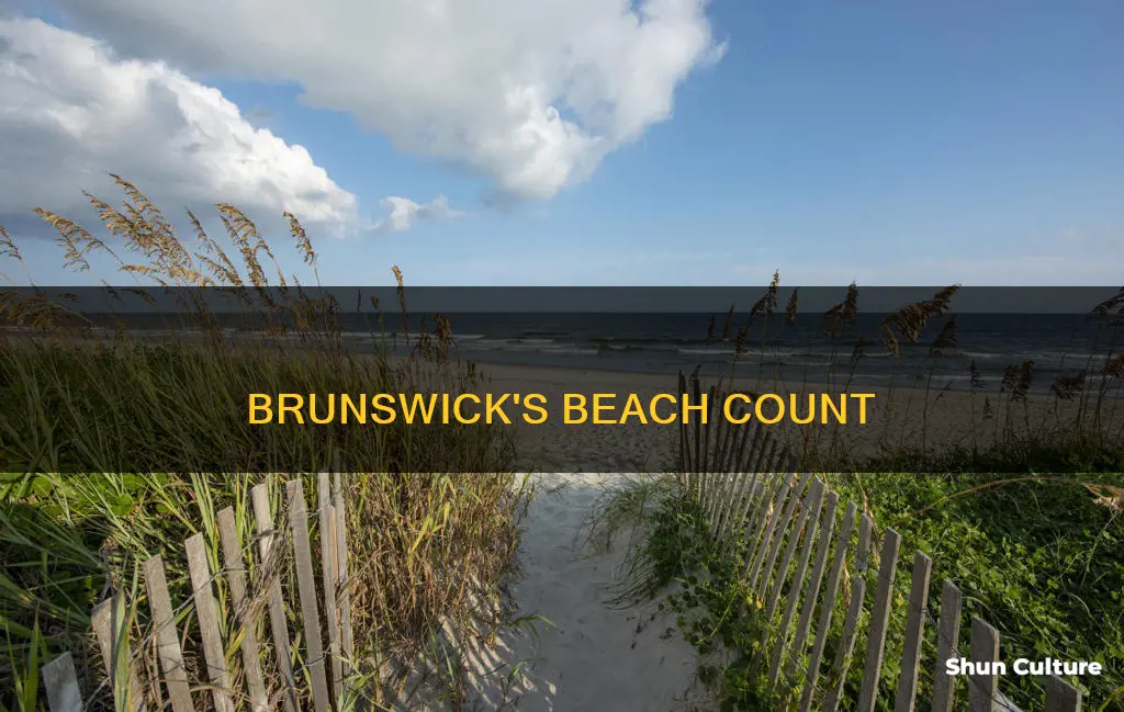 how many beaches does brunswick ocunty have