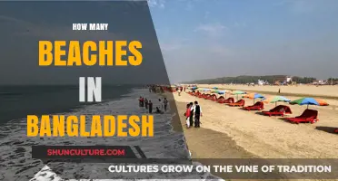 Exploring Bangladesh's Stunning Coastline: How Many Beaches Does It Have?