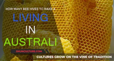 Profitable Beekeeping: How Many Hives to Make a Living?