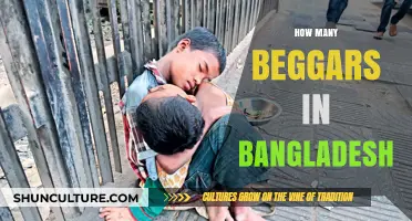Understanding the Scale of Begging in Bangladesh: A Closer Look
