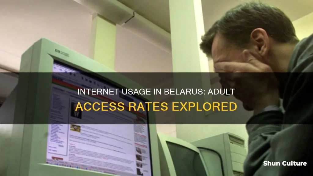 how many belarus adults use the internet