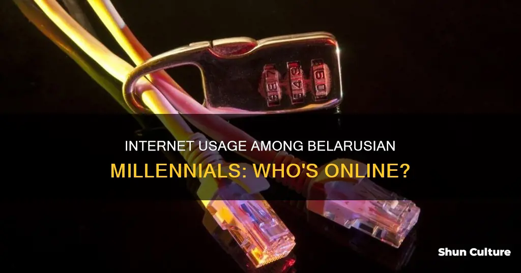 how many belarus milenials use the internet