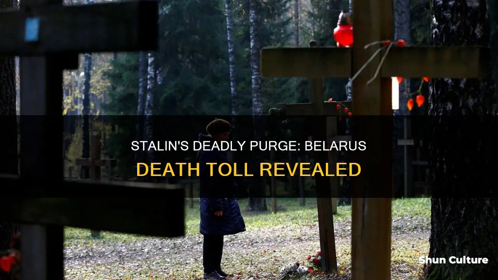 how many belarus people killed by stalin