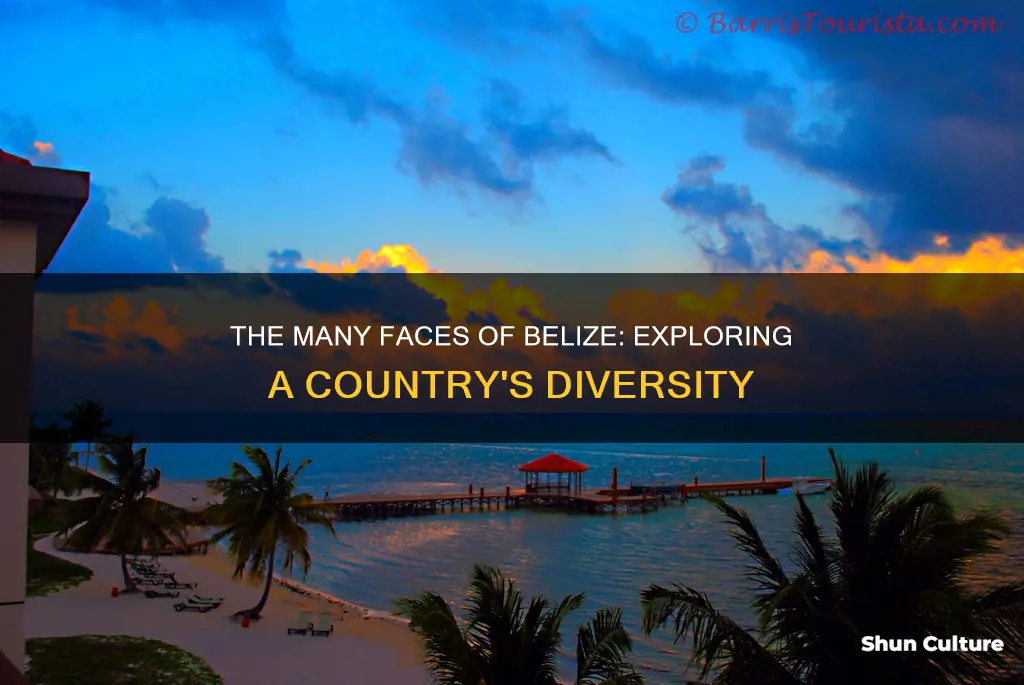 how many belize are there