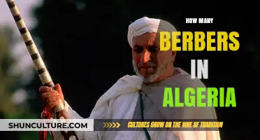Berber Population in Algeria: Understanding Their Significant Presence and Impact