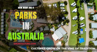 Exploring Australia's Big Four: Ultimate Park Adventures