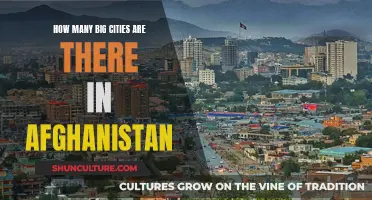 Afghanistan's Urban Giants: Exploring the Country's Major Metropolitan Hubs