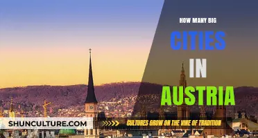 Exploring Austria's Urban Centers: A Count of Big Cities