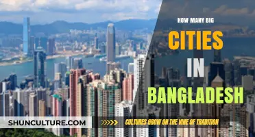 Exploring Bangladesh's Urban Landscape: How Many Big Cities Exist?