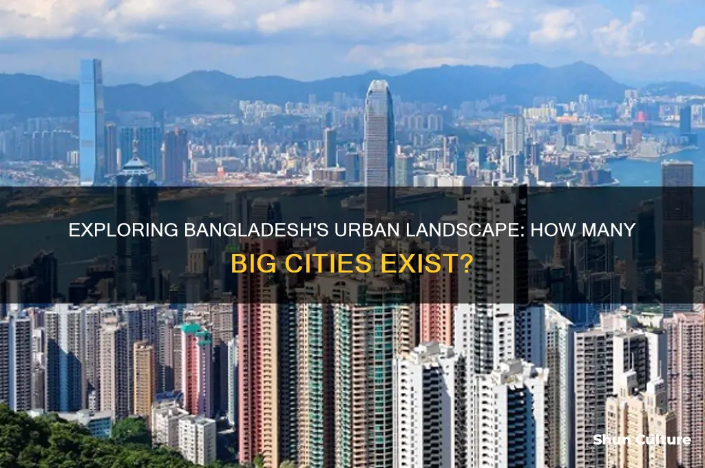 how many big cities in bangladesh