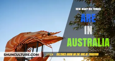 Big Australian Attractions: A Comprehensive Guide