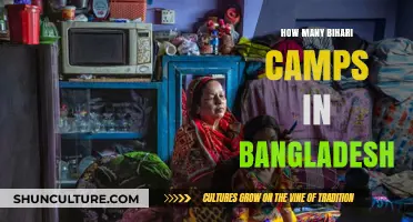 Bihari Camps in Bangladesh: Exploring the Presence and Numbers