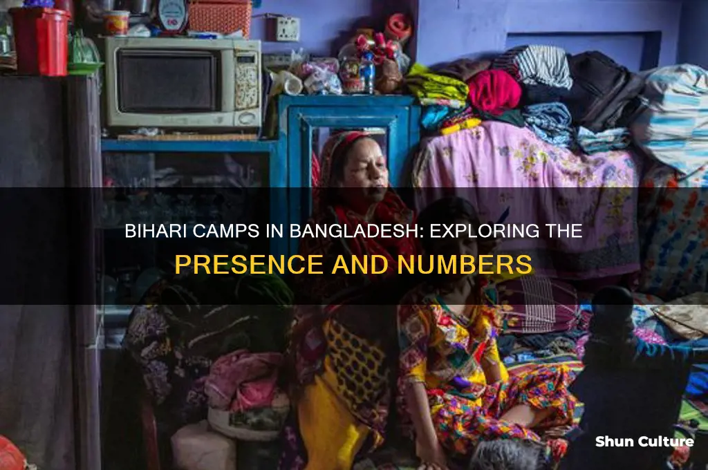 how many bihari camps in bangladesh