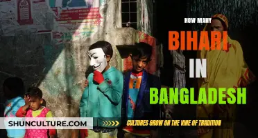 Exploring the Bihari Population Presence in Bangladesh: Facts and Figures