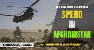 Billions Spent, Dollar by Dollar: The Monthly Cost of War in Afghanistan